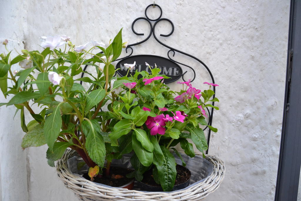 Apartamento La Violetta Ostuni Habitación foto